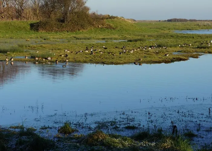 Les Oiseaux De Passage 4*