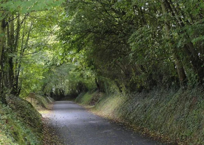 Les Oiseaux De Passage