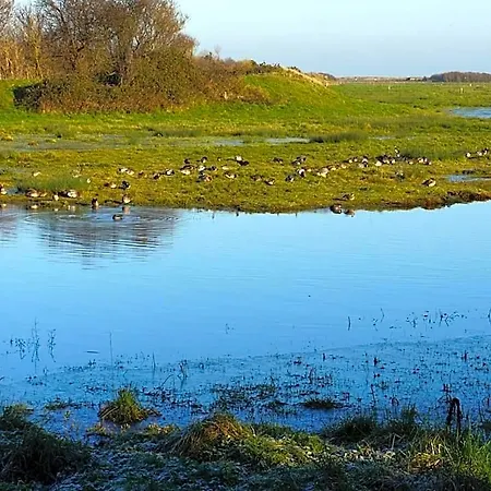 Bed & Breakfast Les Oiseaux De Passage 4*