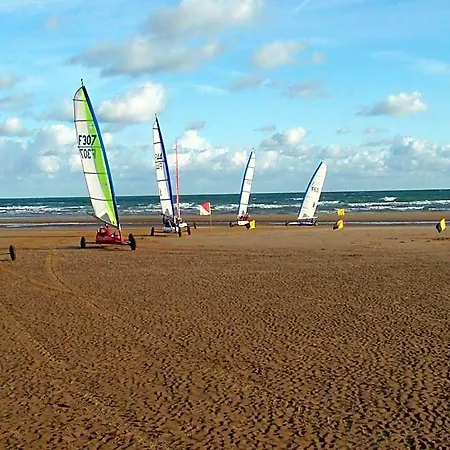 Les Oiseaux De Passage