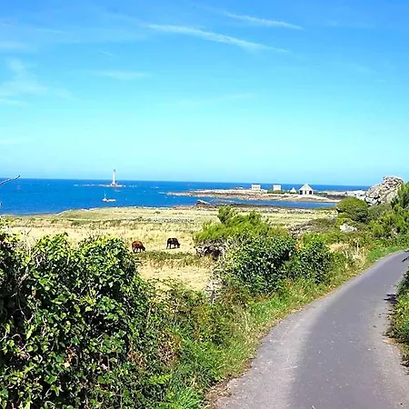 Les Oiseaux De Passage