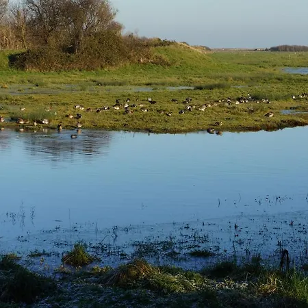 Les Oiseaux De Passage 4*