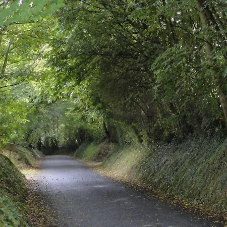 Les Oiseaux De Passage